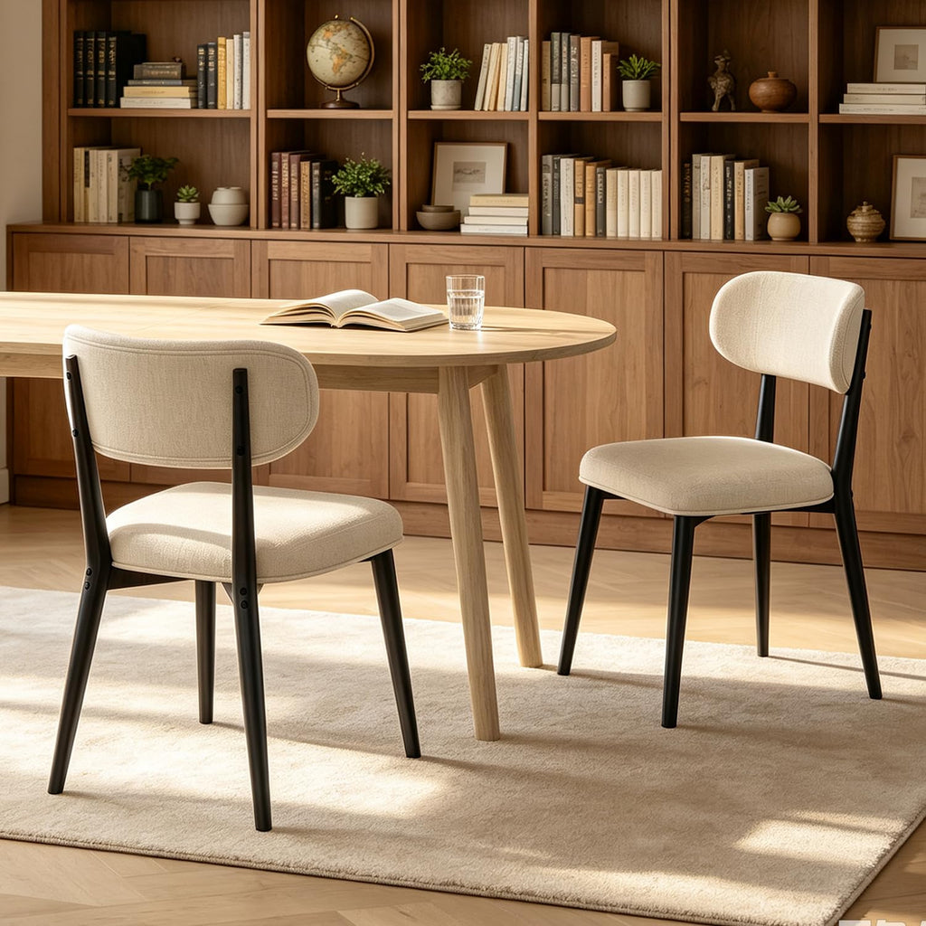 Modern Dining Chairs Set for 2