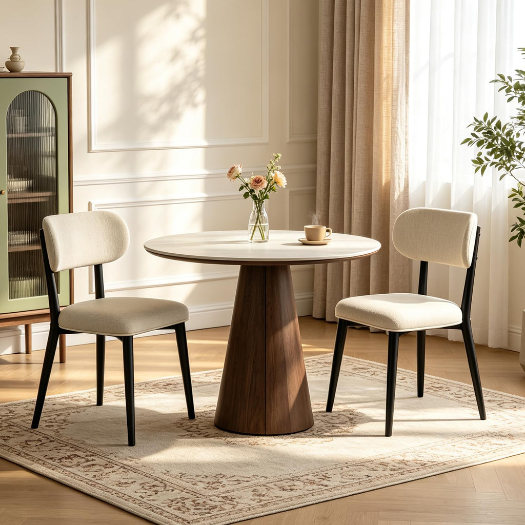 Modern Dining Chairs Set for 2
