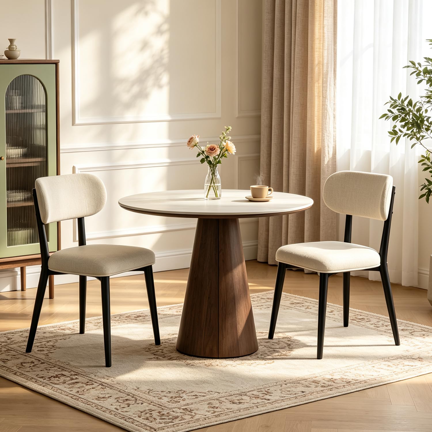 Modern Dining Chairs Set for 2