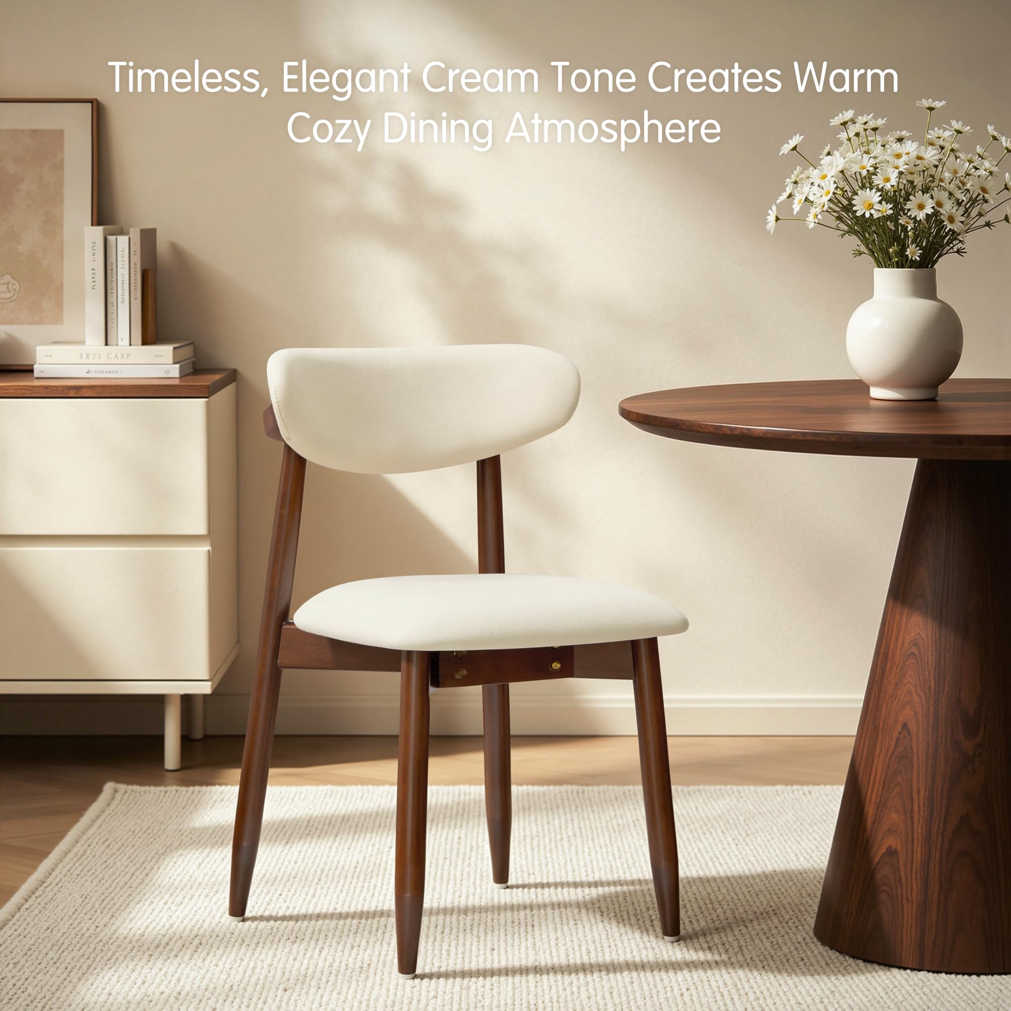 Dining Chairs Set of 4