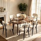 Modern Dining Chairs Set for 2